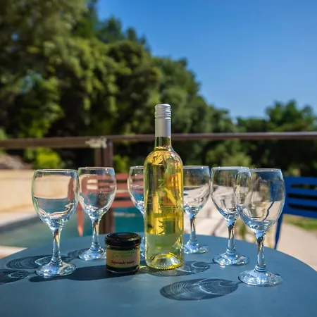 Charming House Near Uzes Holiday home Belvezet